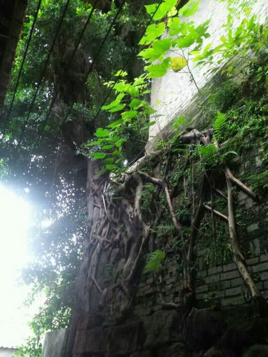 918博天堂(中国区)集团网站