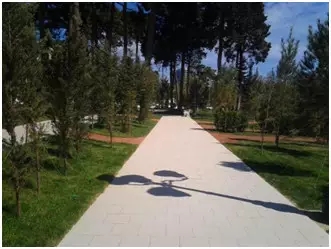 918博天堂(中国区)集团网站