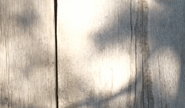 918博天堂和地砖木质纹理效果图