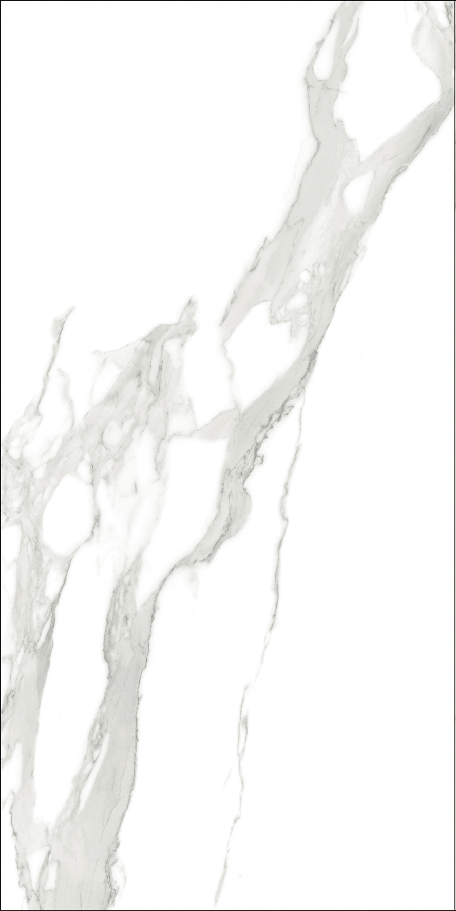 918博天堂(中国区)集团网站