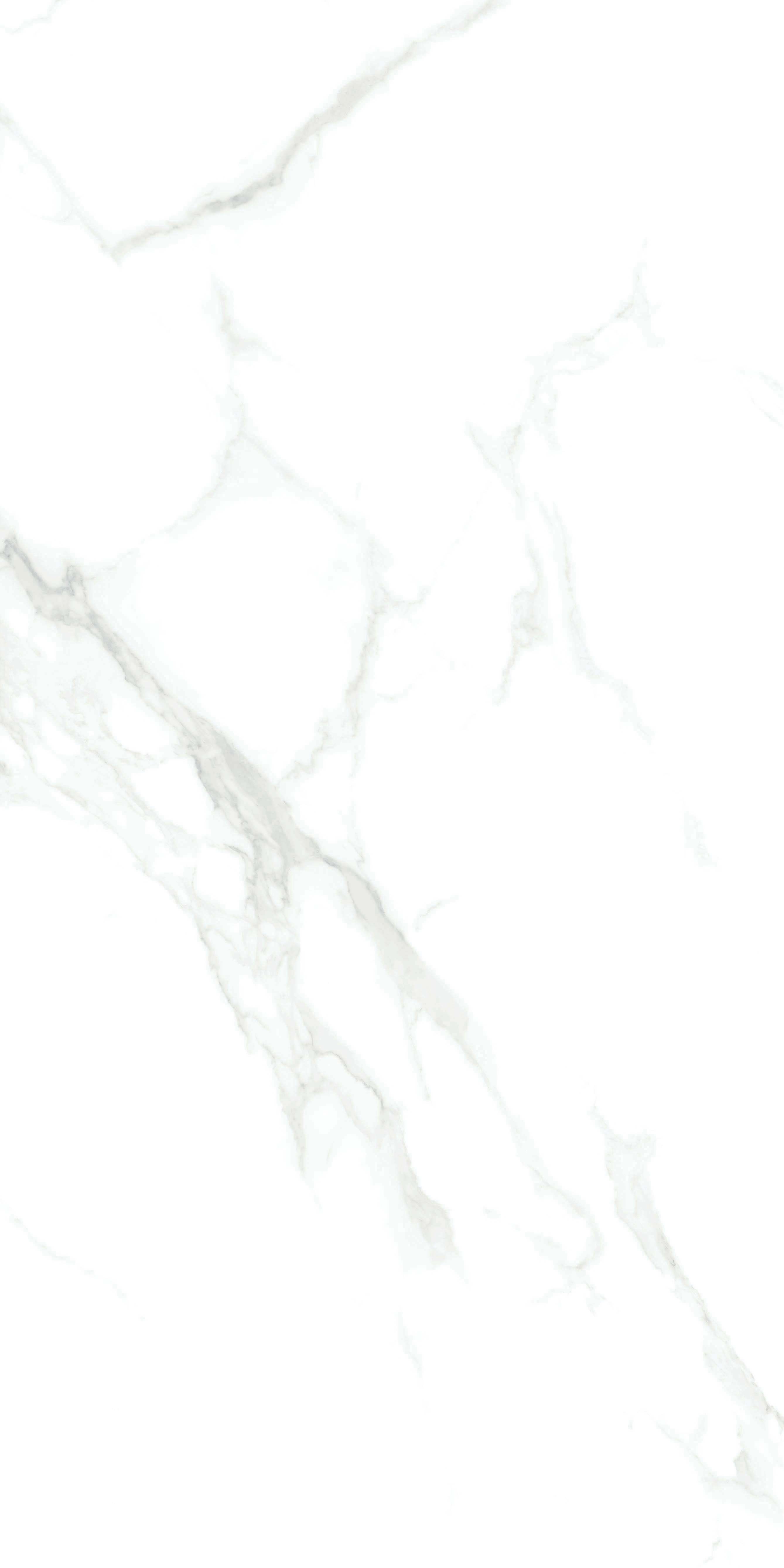 918博天堂(中国区)集团网站