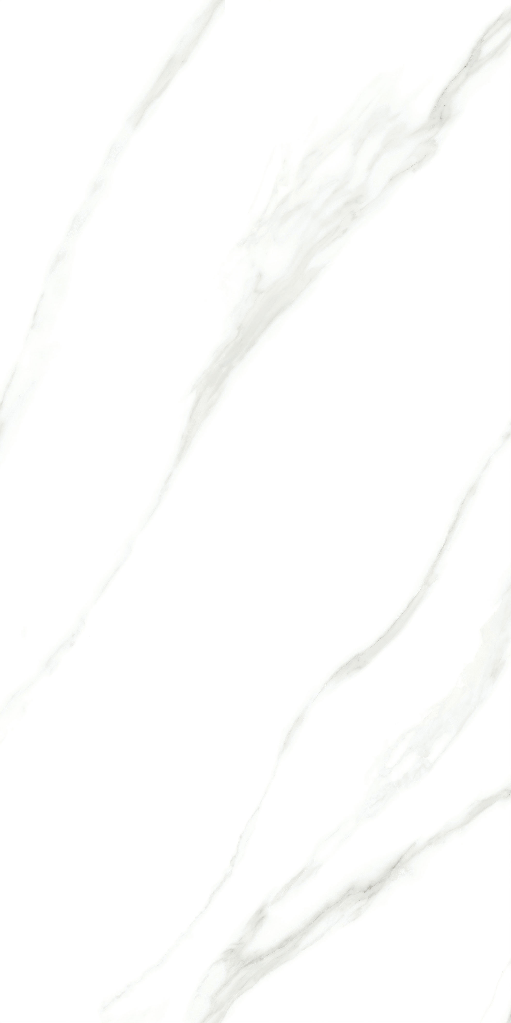 918博天堂(中国区)集团网站