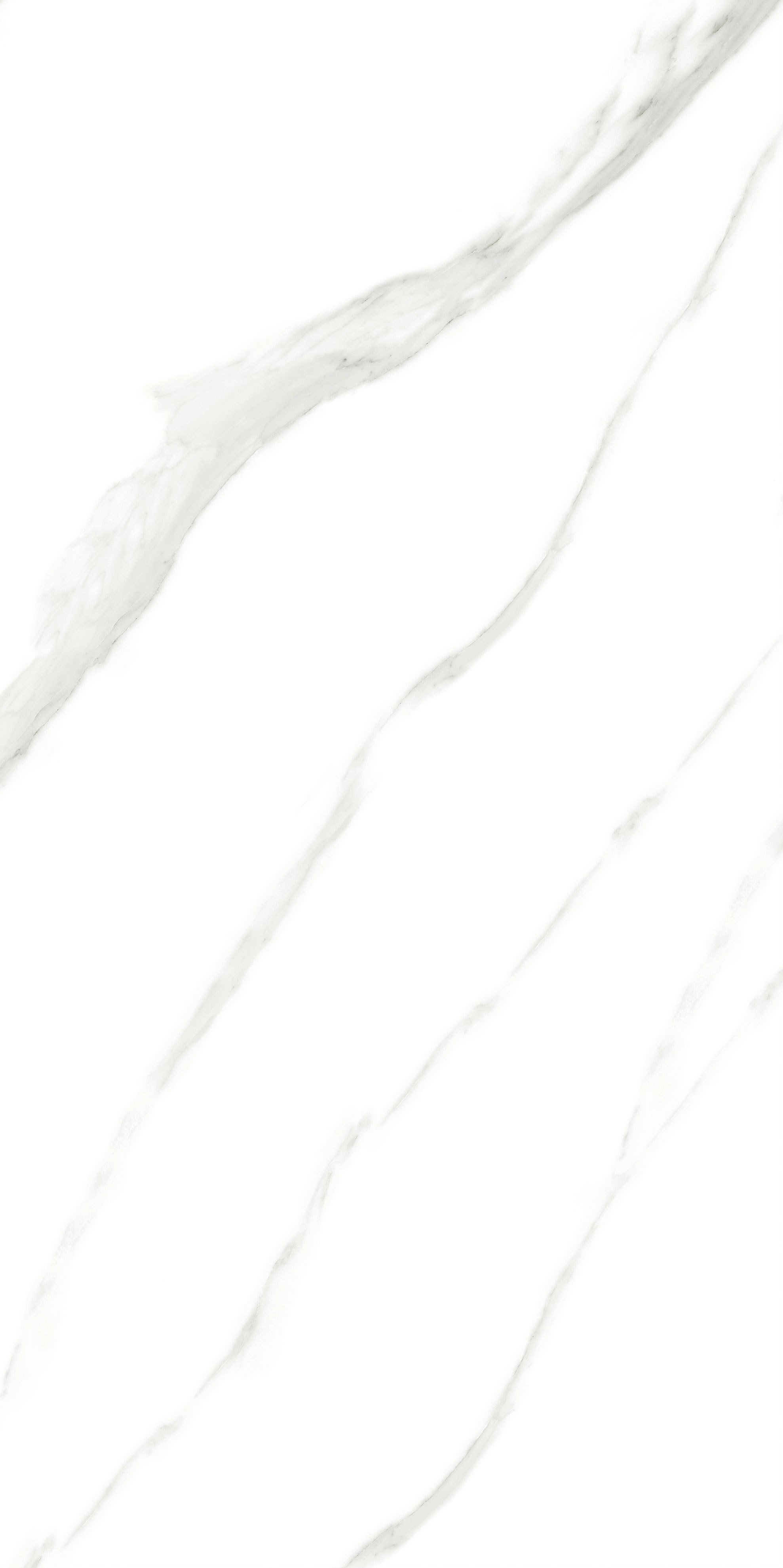 918博天堂(中国区)集团网站