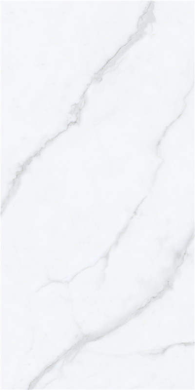 918博天堂(中国区)集团网站