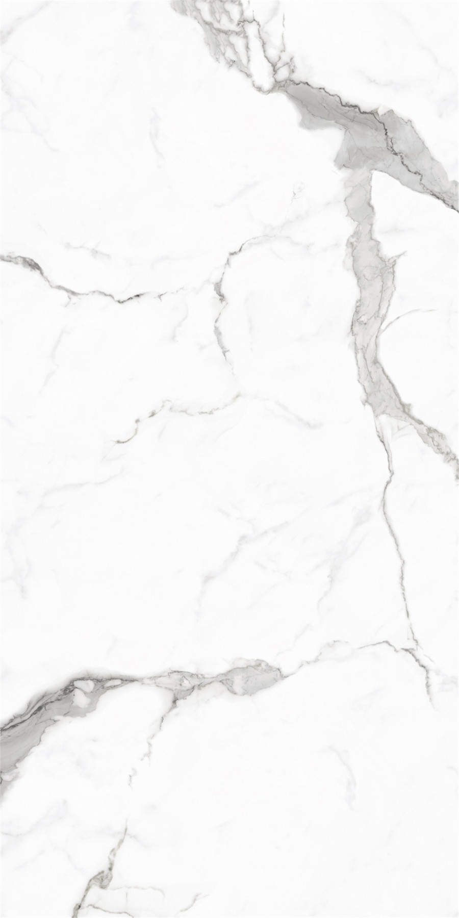 918博天堂(中国区)集团网站