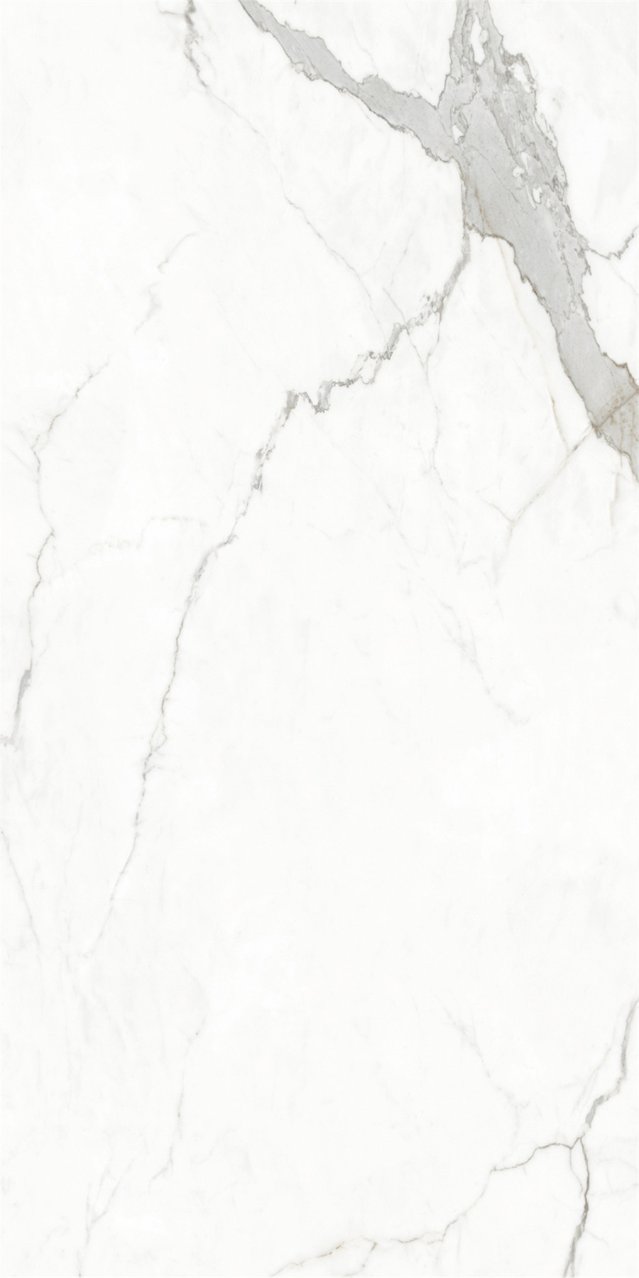 918博天堂(中国区)集团网站