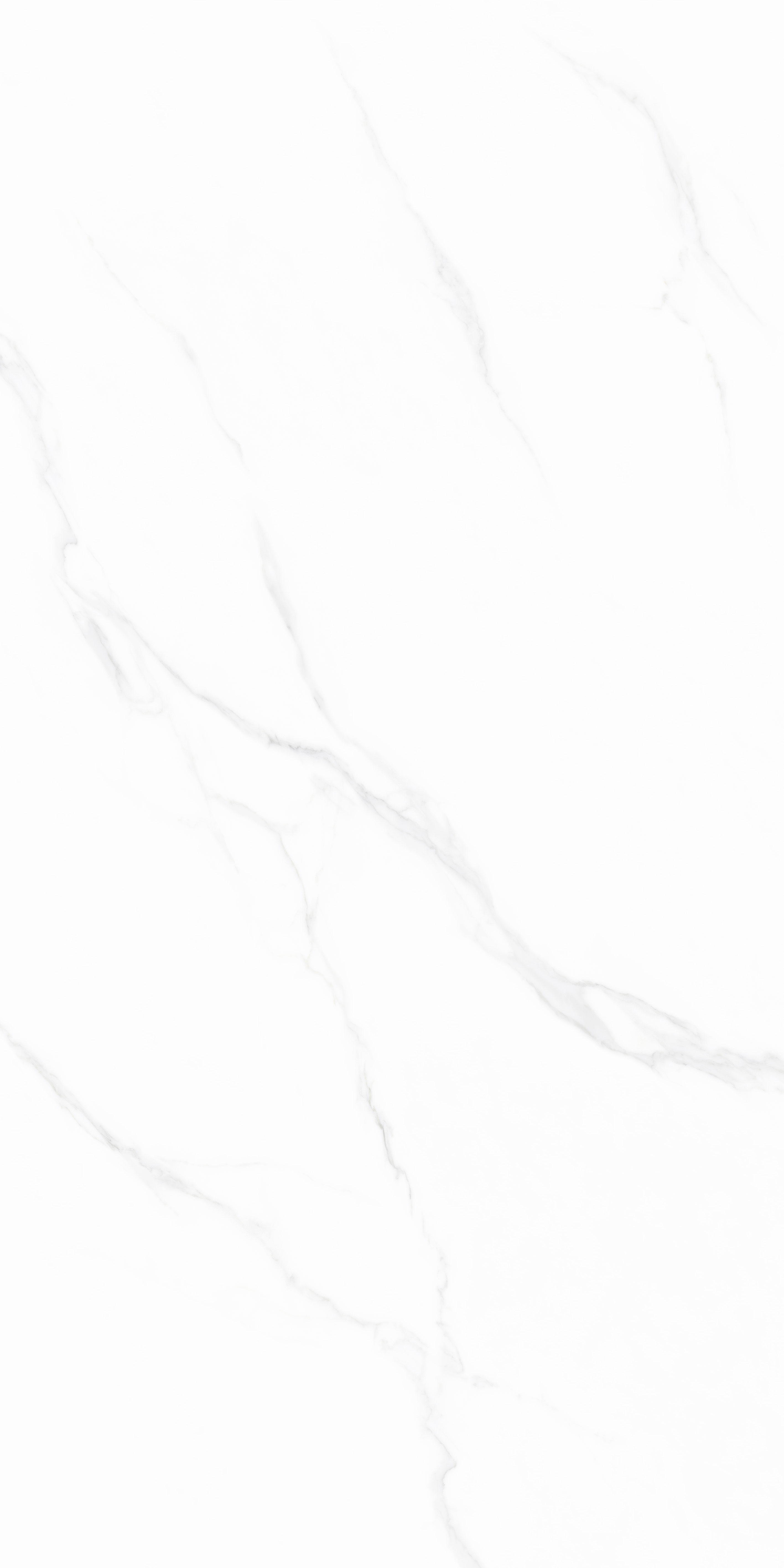 918博天堂(中国区)集团网站