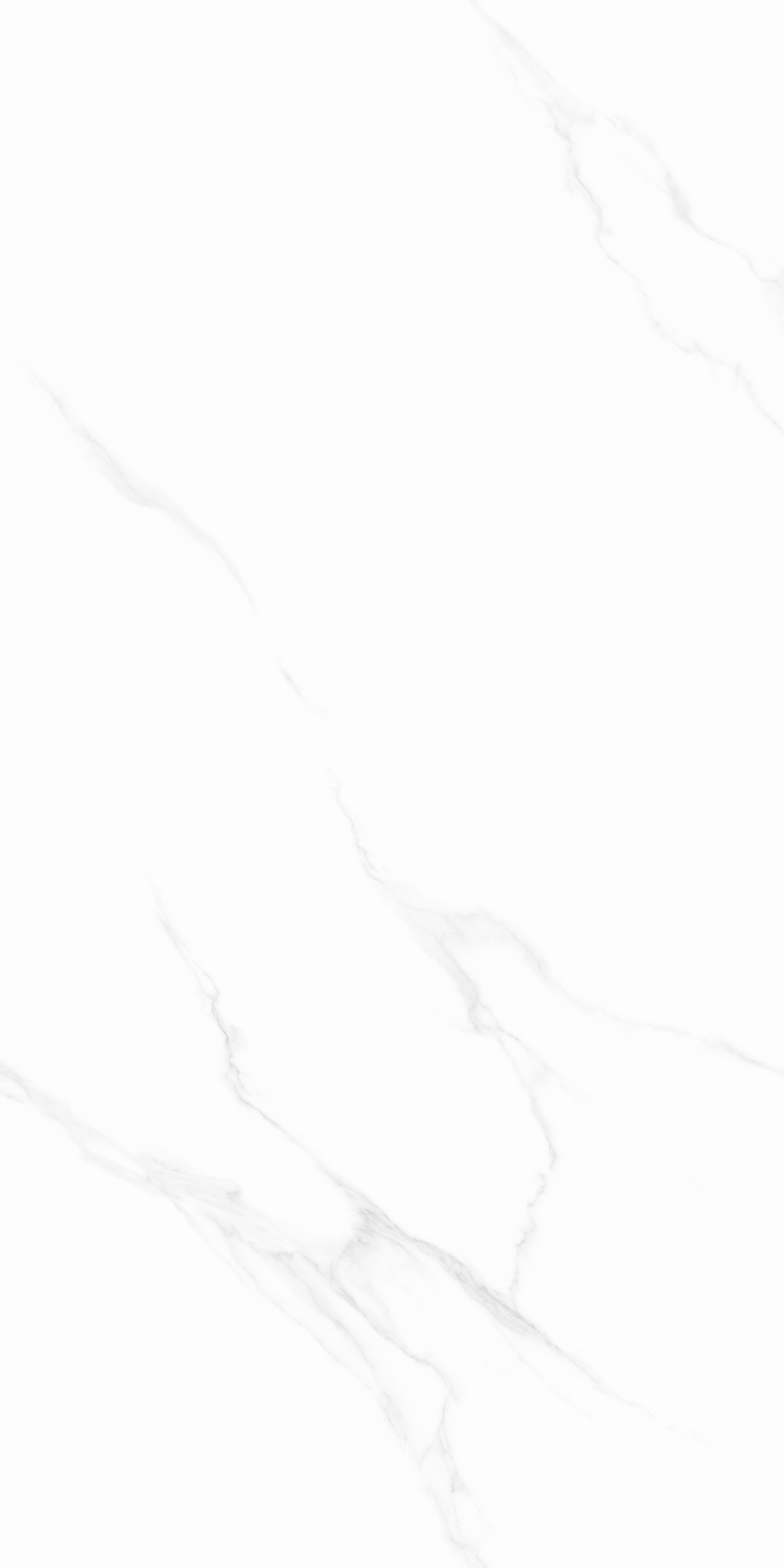 918博天堂(中国区)集团网站