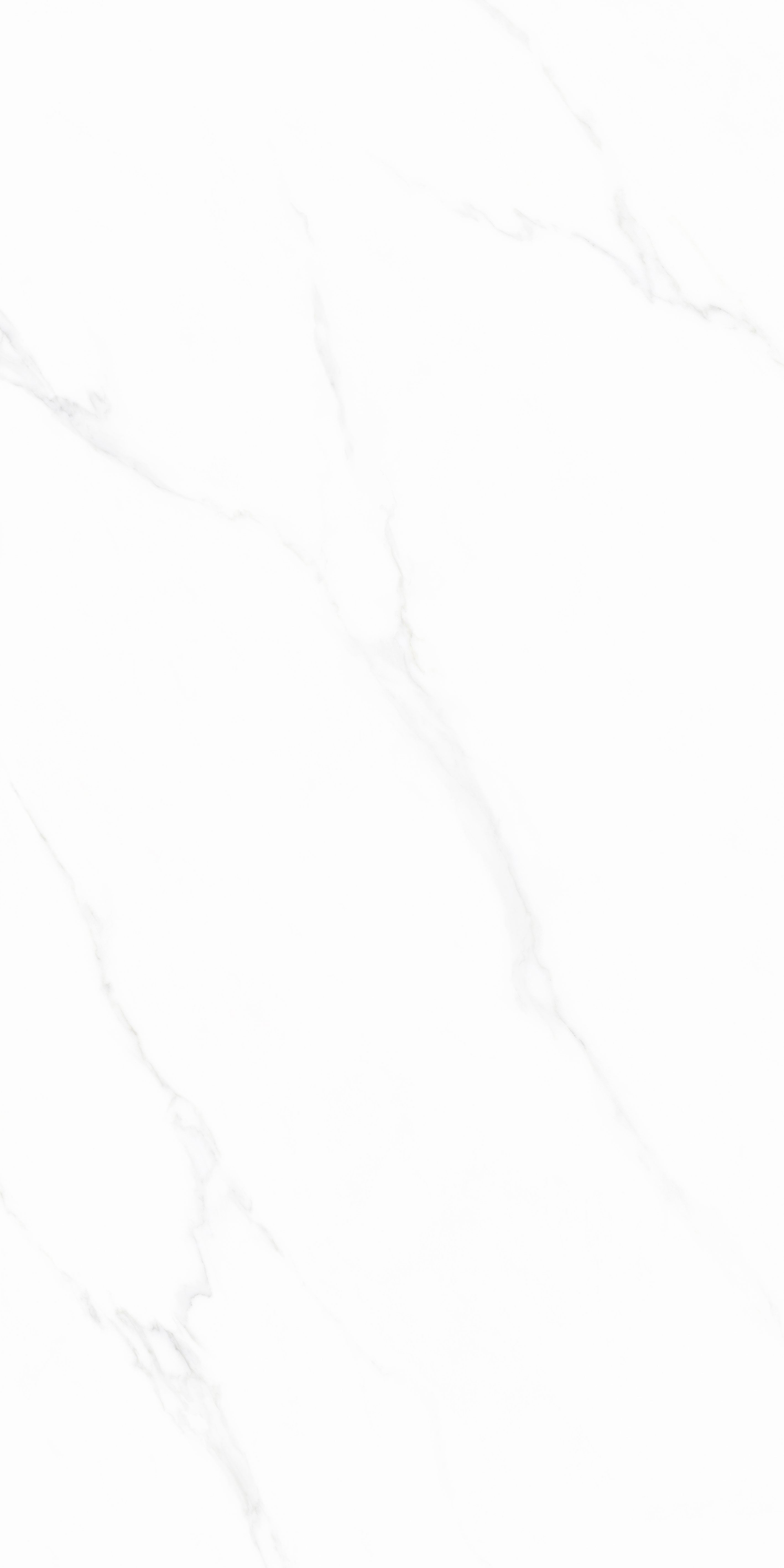 918博天堂(中国区)集团网站