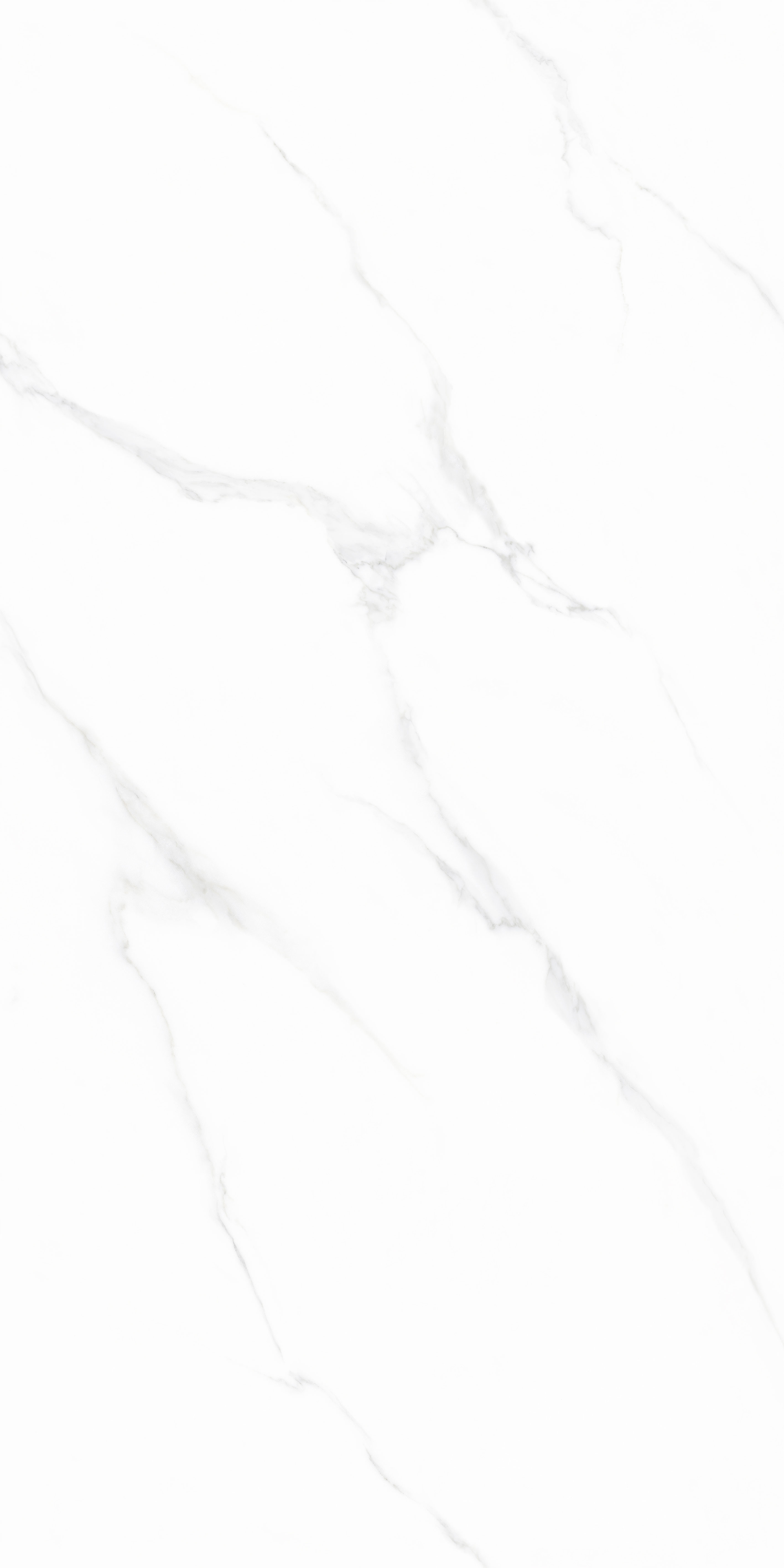 918博天堂(中国区)集团网站