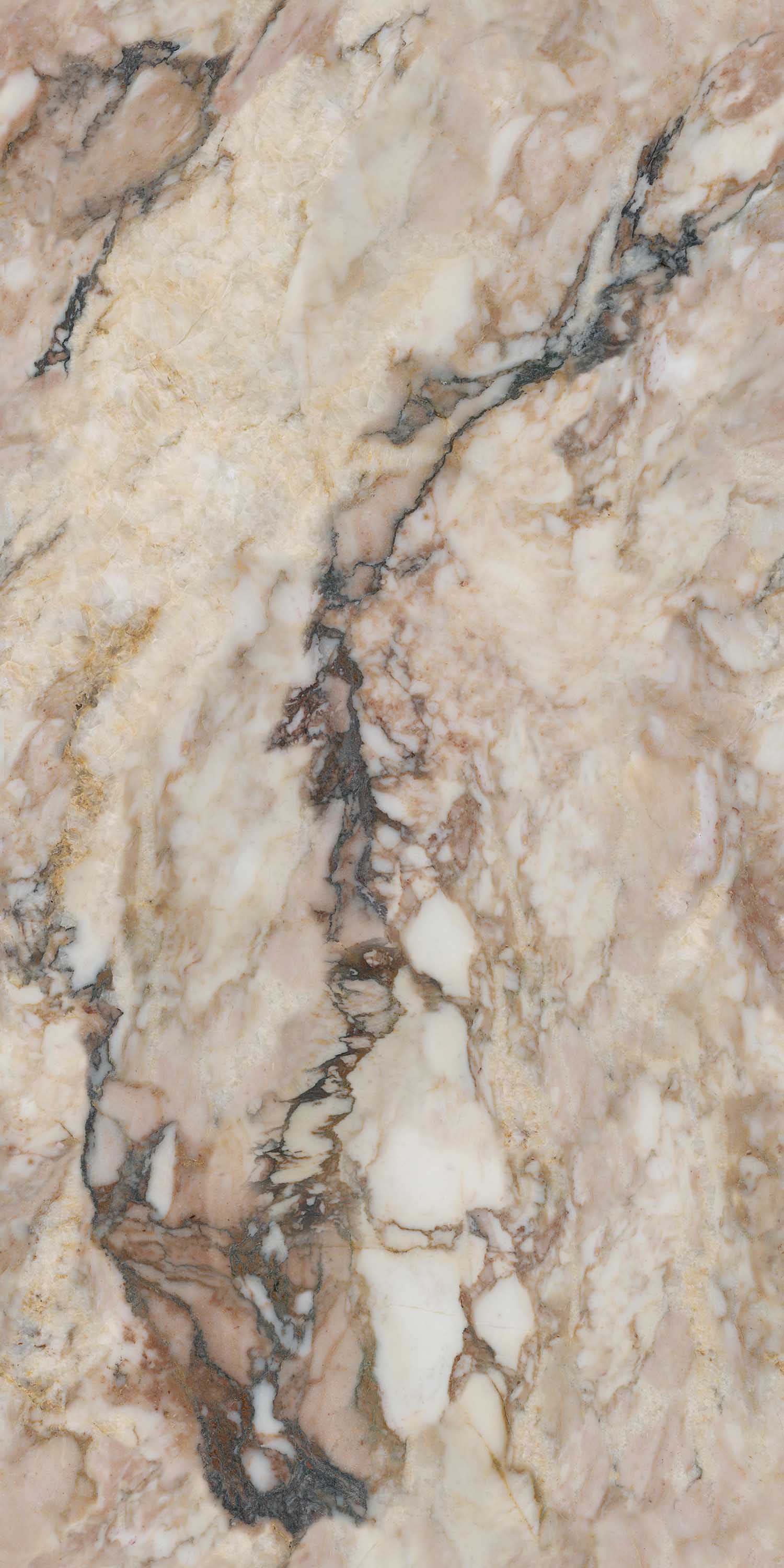 918博天堂(中国区)集团网站