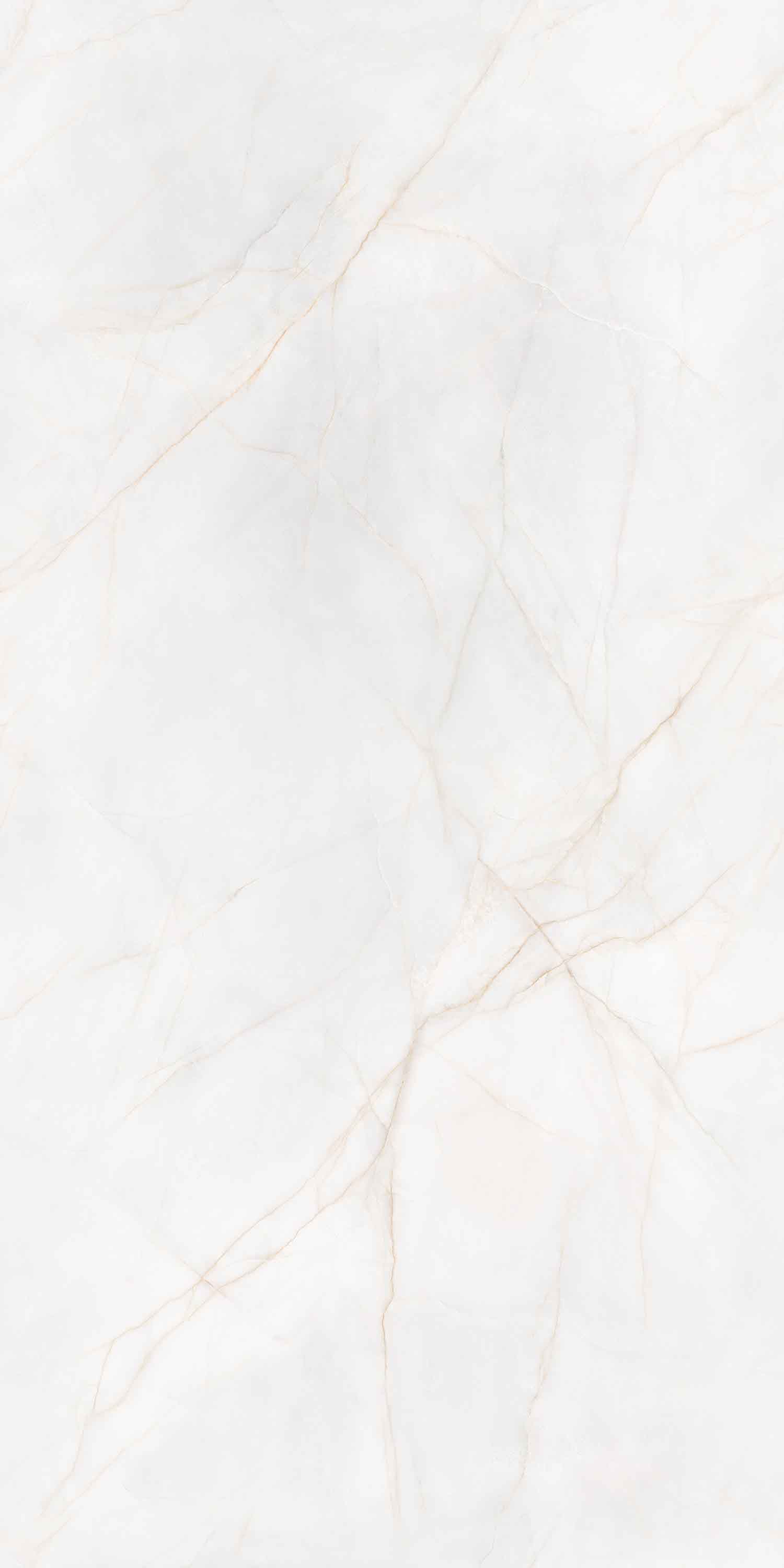 918博天堂(中国区)集团网站