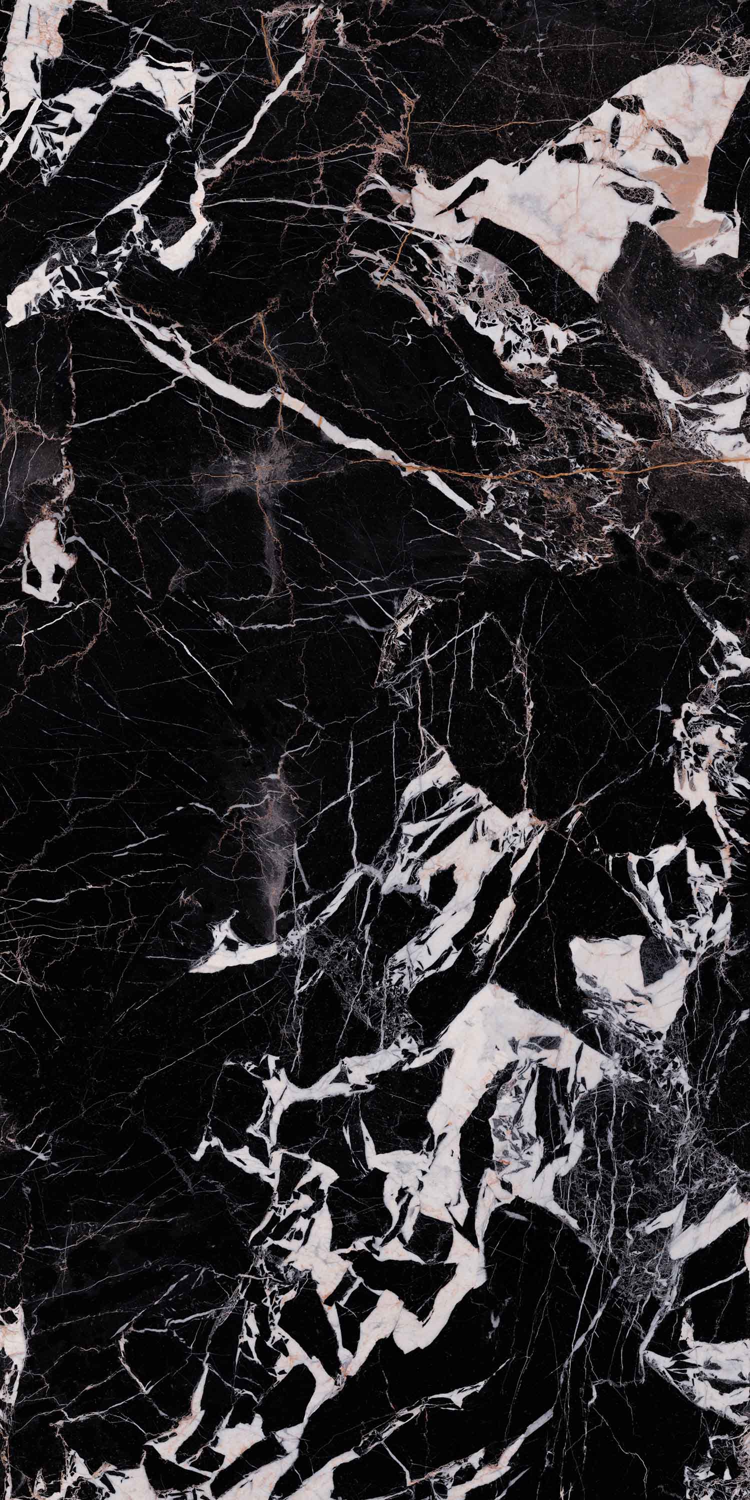 918博天堂(中国区)集团网站