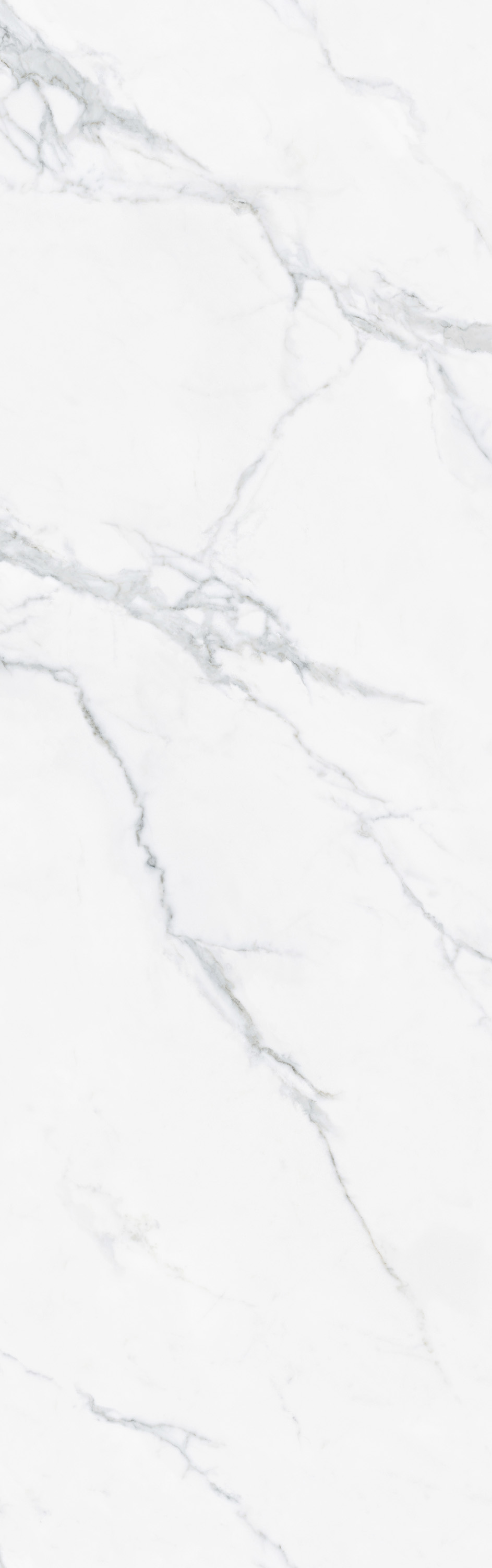 918博天堂(中国区)集团网站