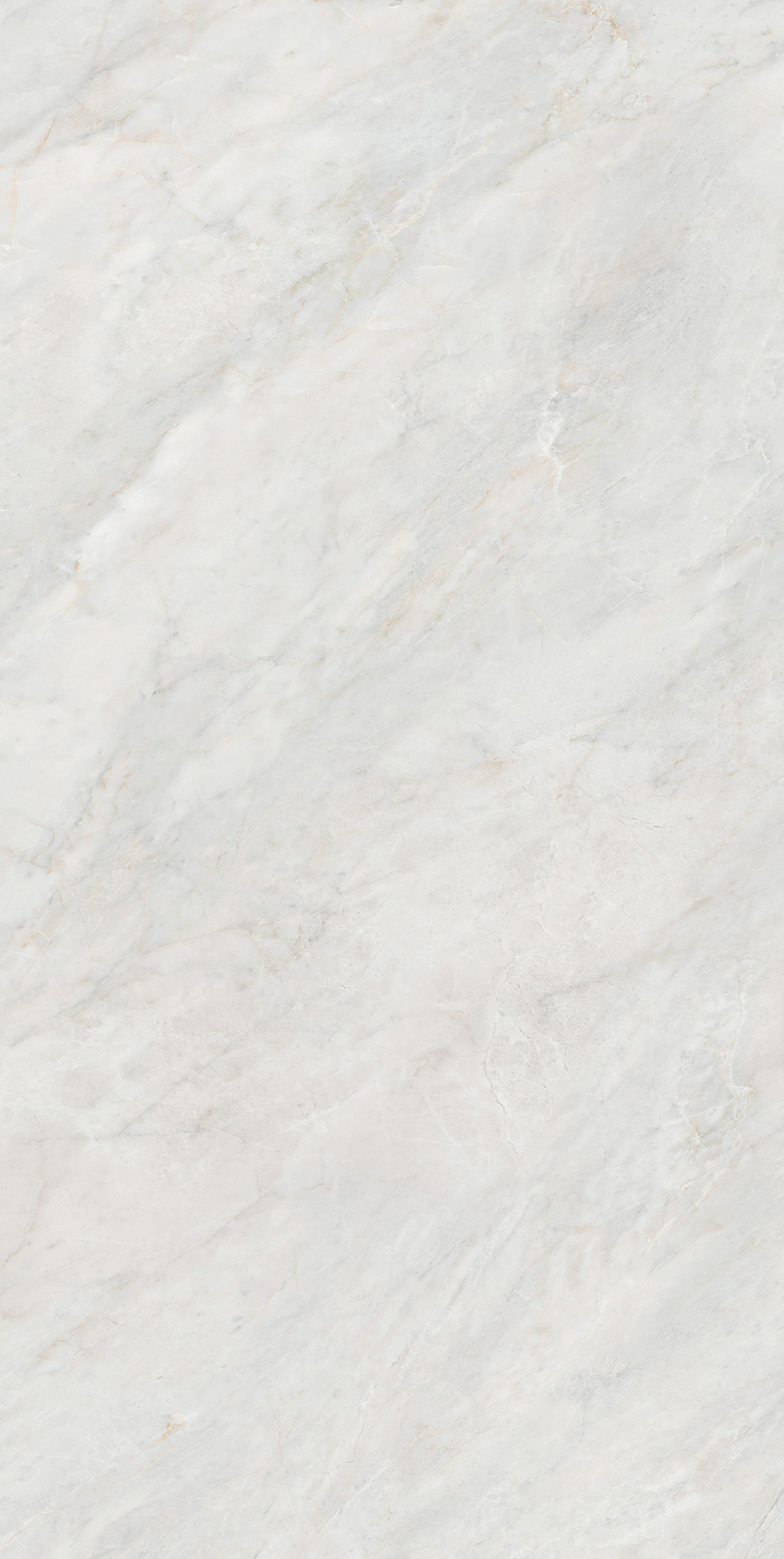 918博天堂(中国区)集团网站