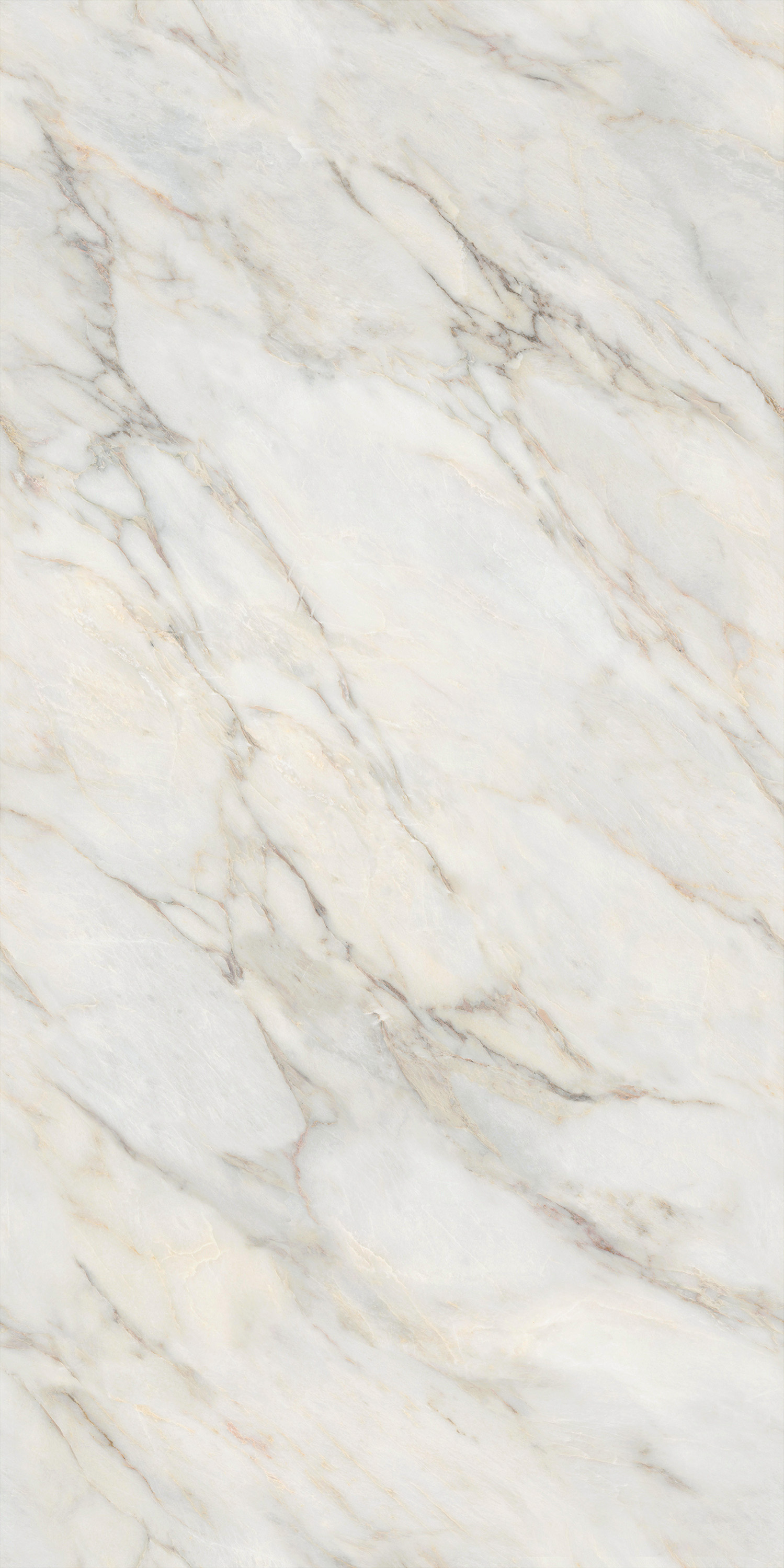 918博天堂(中国区)集团网站